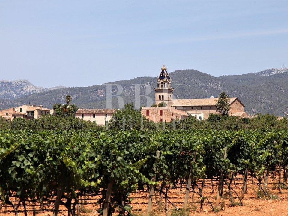 Erhvervsejendom i Santa Maria Del Cami, Mallorca - foto 1