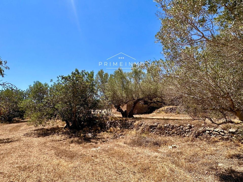 Villa i L'Ametlla De Mar, Tarragona - bilde 5