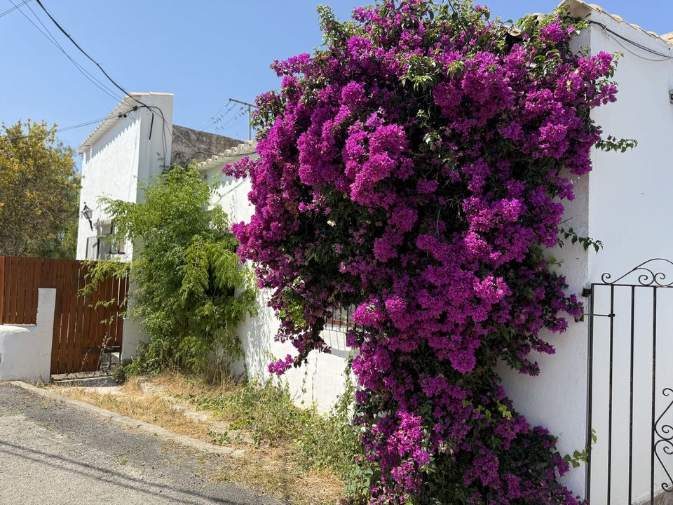 Finca i Santa Eulalia Del Rio, Ibiza - foto 2