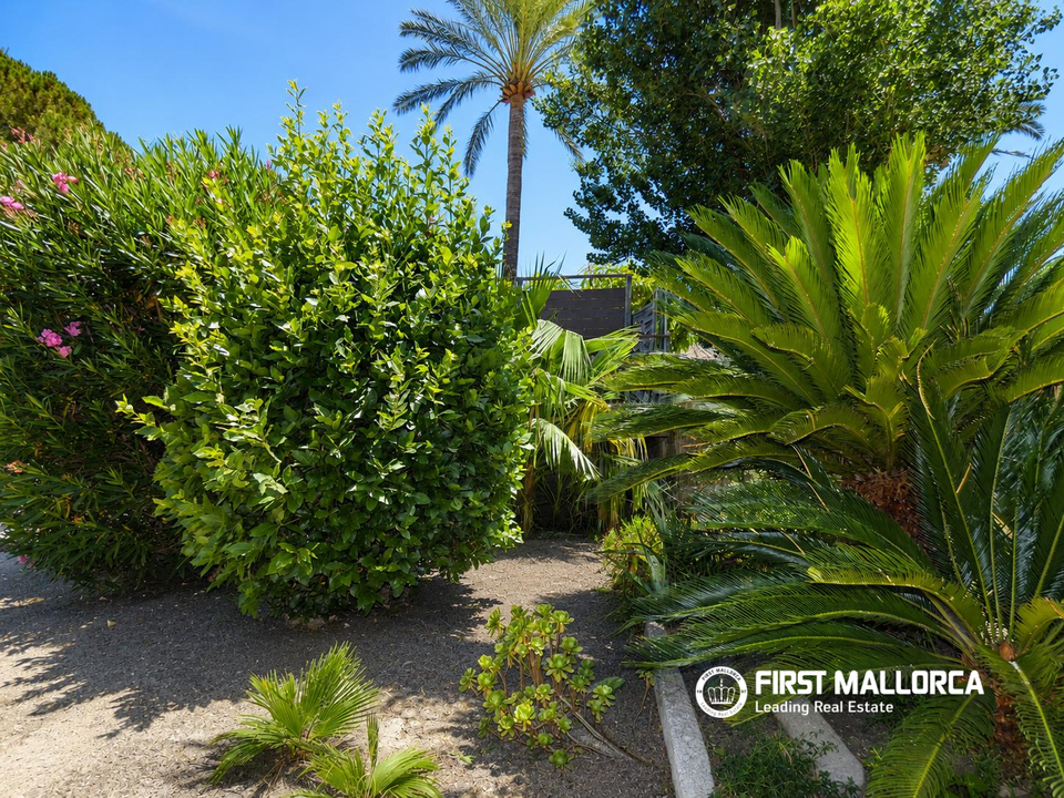 Country house in Pollenca, Mallorca - photo 3