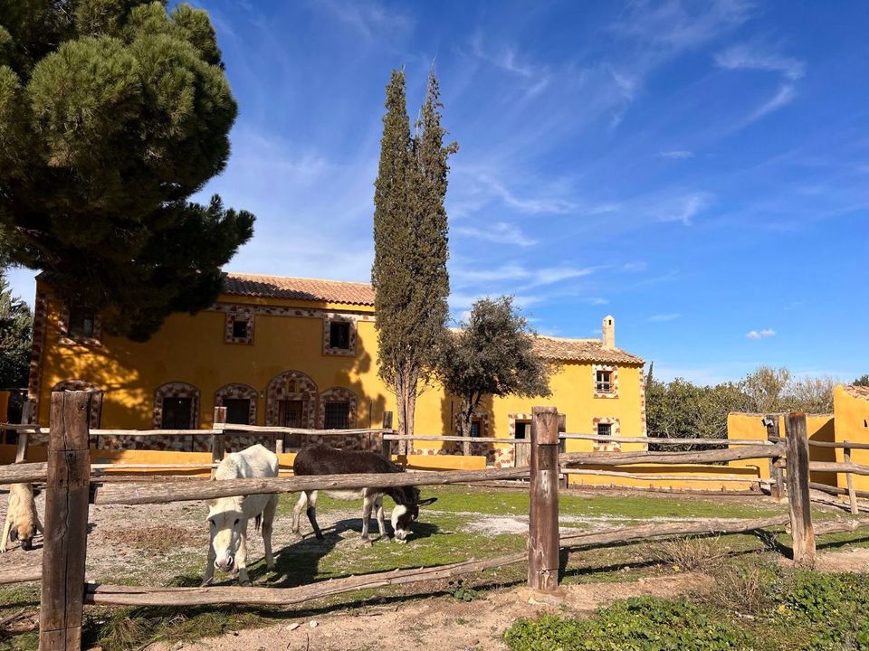 Casa de campo en Caniles, Granada - foto 1