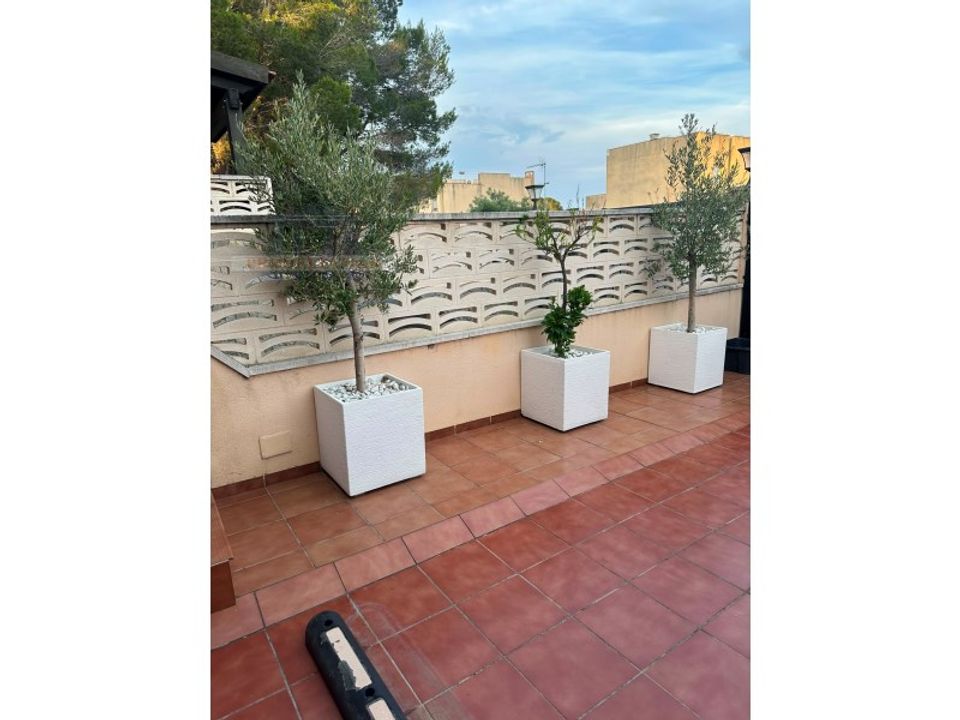 Radhus i Les Planes Del Rei, Tarragona - foto 5