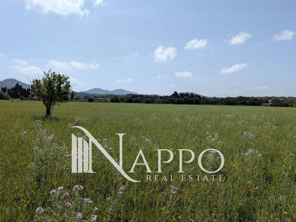 Finca i Felanitx, Mallorca - foto 3