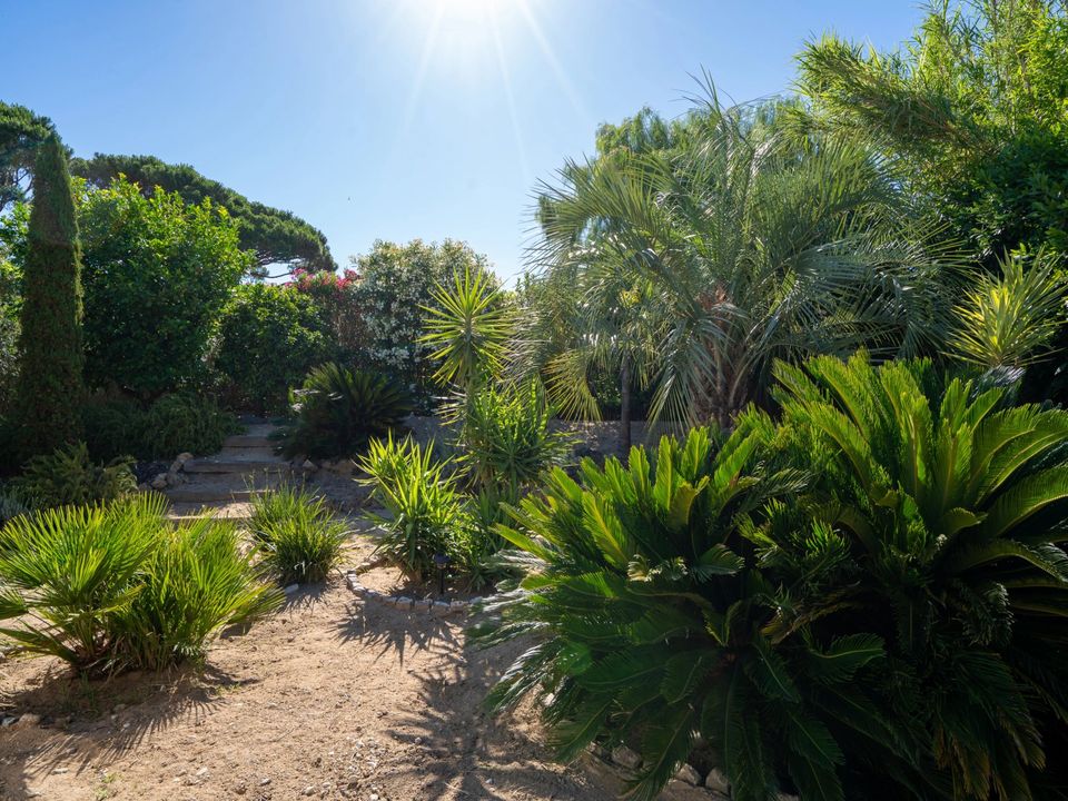 Villa i Saint-Tropez, Var - foto 5