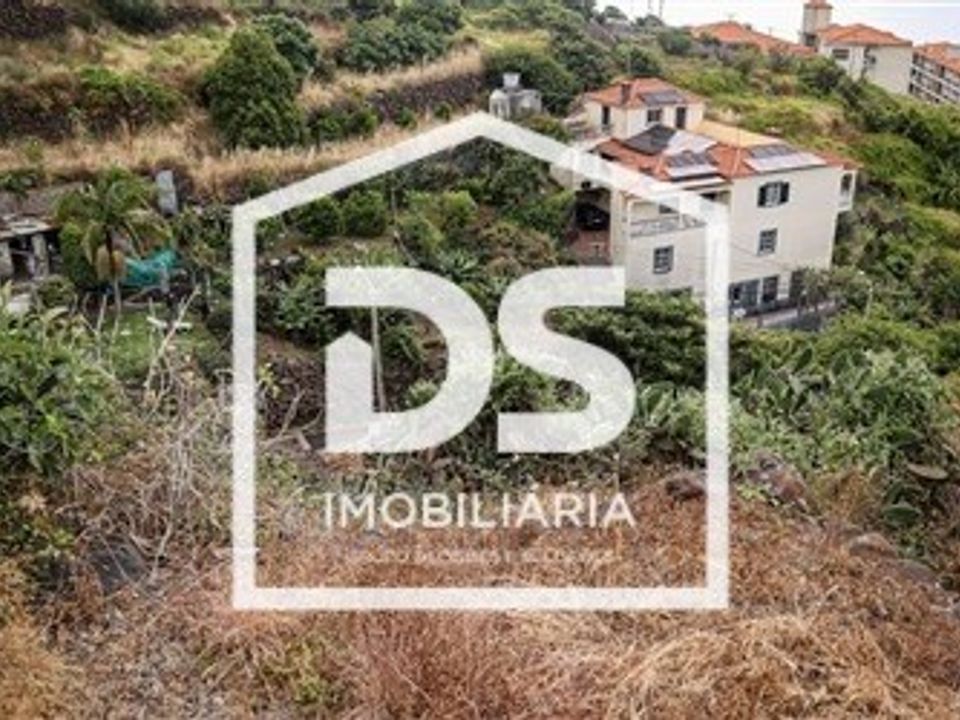 Terra a Santa Cruz, Madeira - foto 4