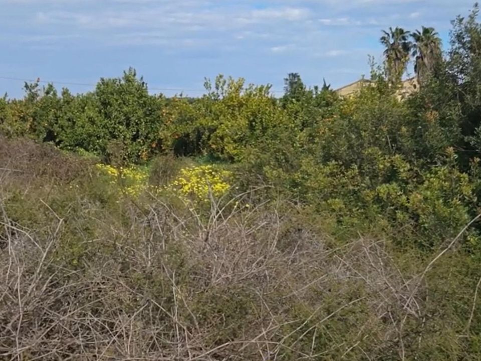 Helårsgrund i Gandia, Valencia - foto 2