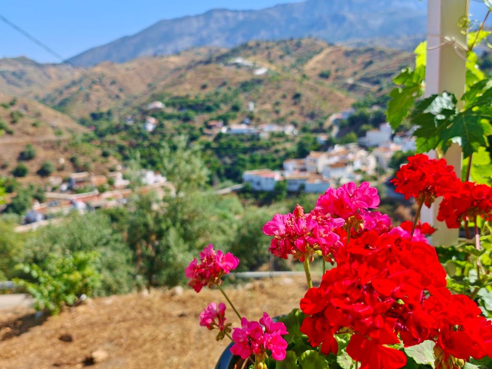 Landejendom i Canillas De Aceituno, Malaga - foto 4