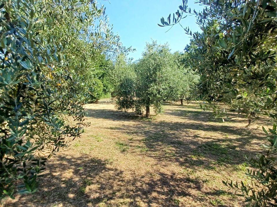 Villa em Castro dei Volsci, Frosinone - foto 5