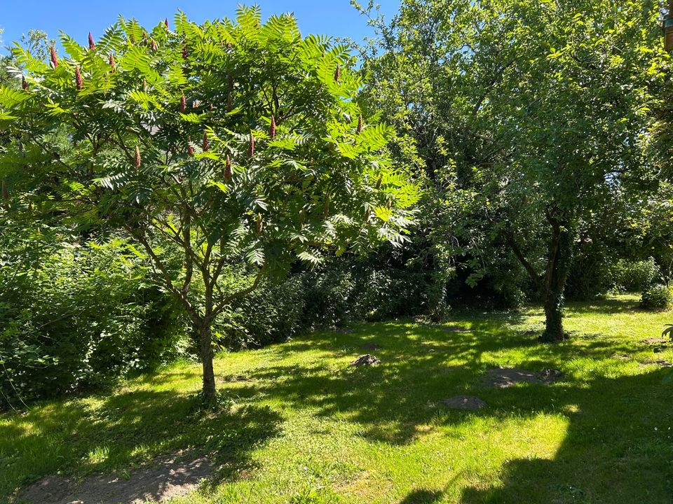 Villa a Drulhe, Aveyron - foto 5