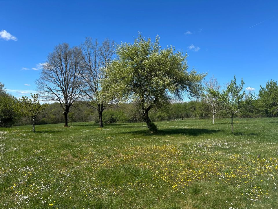 Villa i Sainte-Croix, Aveyron - bilde 3