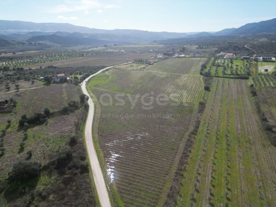 Grond in Torre de Moncorvo, Braganca - foto 1