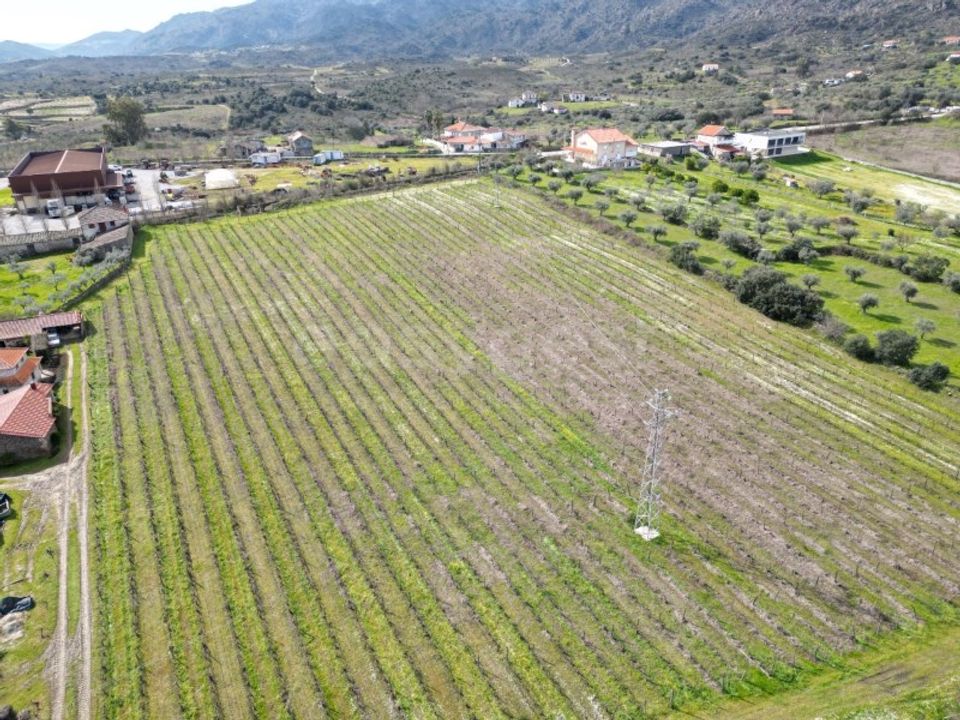 Grond in Torre de Moncorvo, Braganca - foto 2