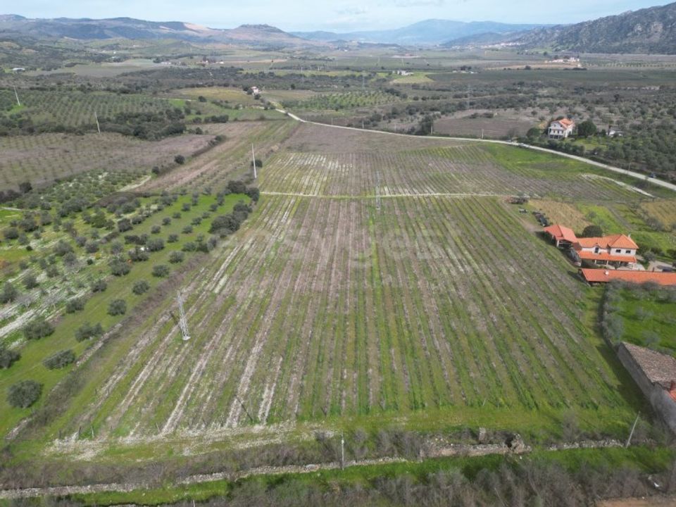 Grond in Torre de Moncorvo, Braganca - foto 3