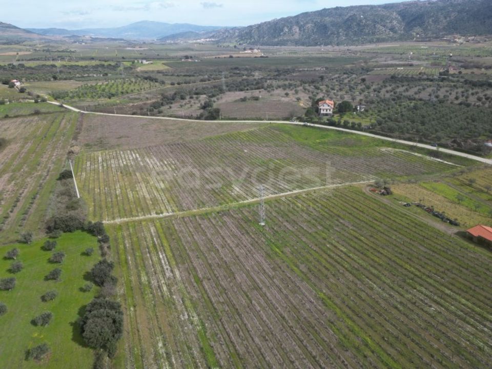 Grond in Torre de Moncorvo, Braganca - foto 5