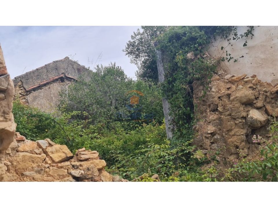 Farm i Torres Vedras, Lisbon - foto 2