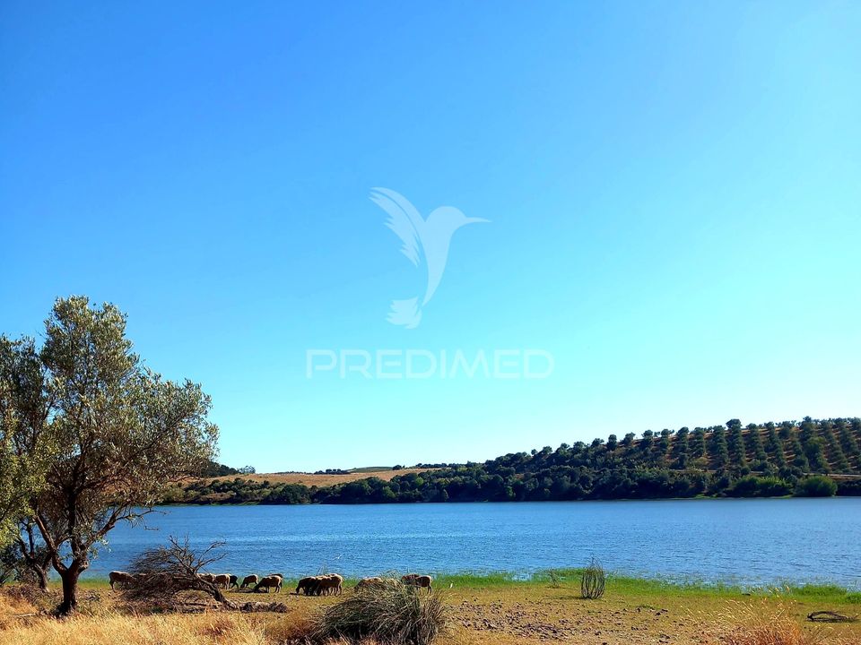 Terra a Alandroal, Evora - foto 1
