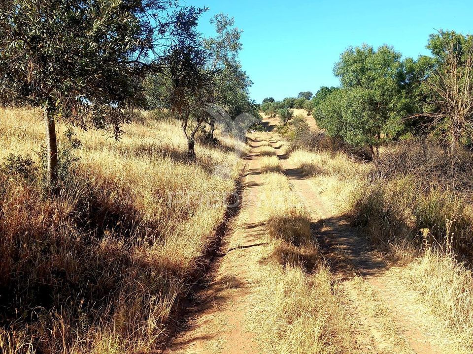 Terra a Alandroal, Evora - foto 5