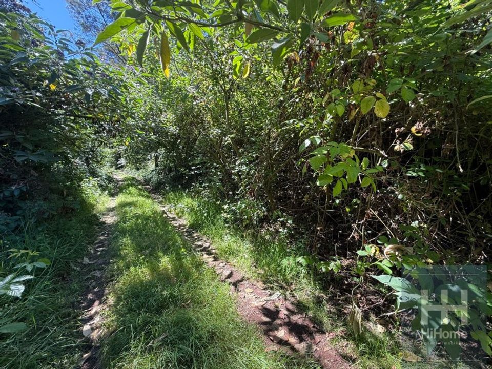 Helårsgrund i Santana, Madeira - foto 4