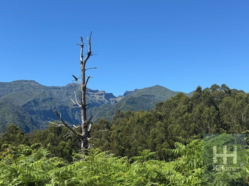Helårsgrund i Santana, Madeira - foto 4