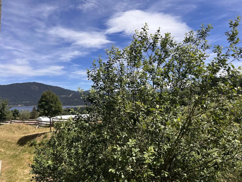 Lejlighed i Les Angles, Pyrenees-Orientales - foto 4