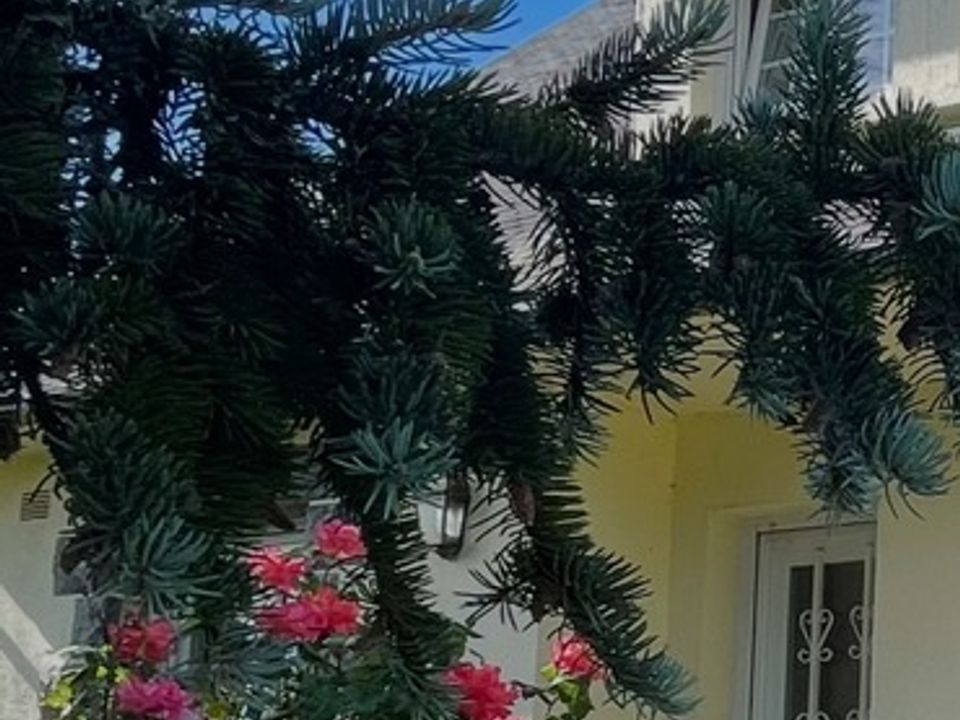Villa en Bon Repos sur Blavet, Cotes-d'Armor - foto 1
