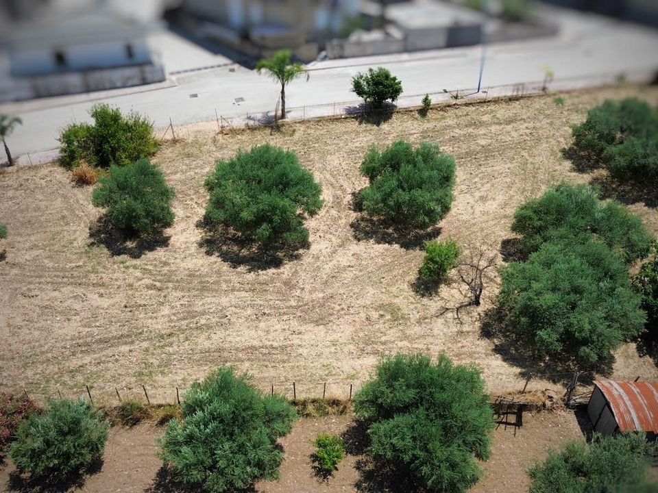 Grond in Calamonaci, Agrigento - foto 4