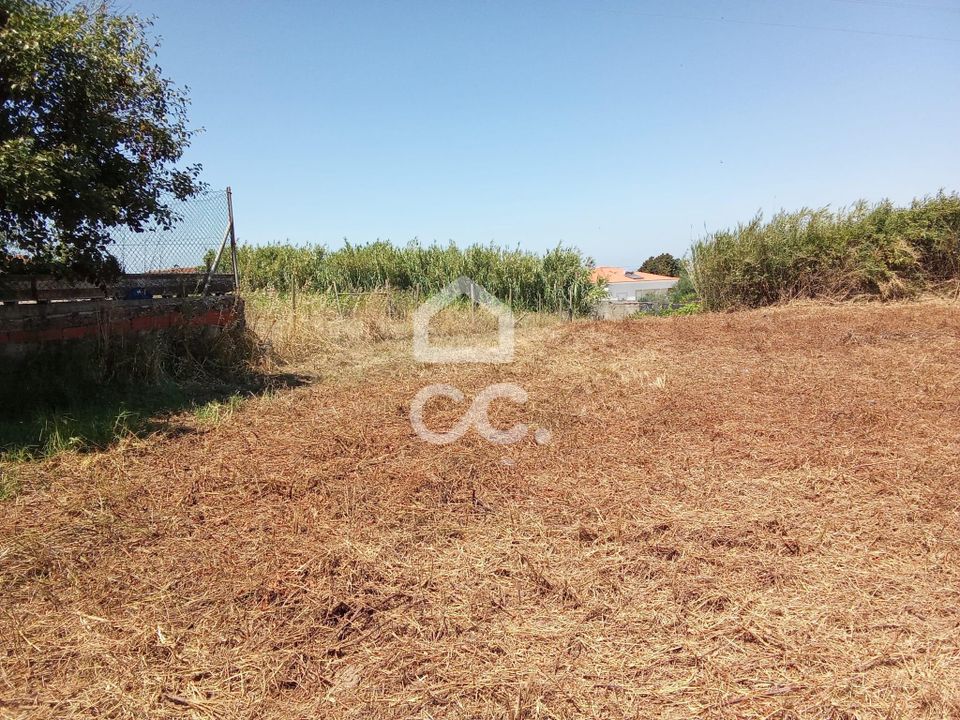 Helårsgrund i Carvalhal, Leiria - foto 5