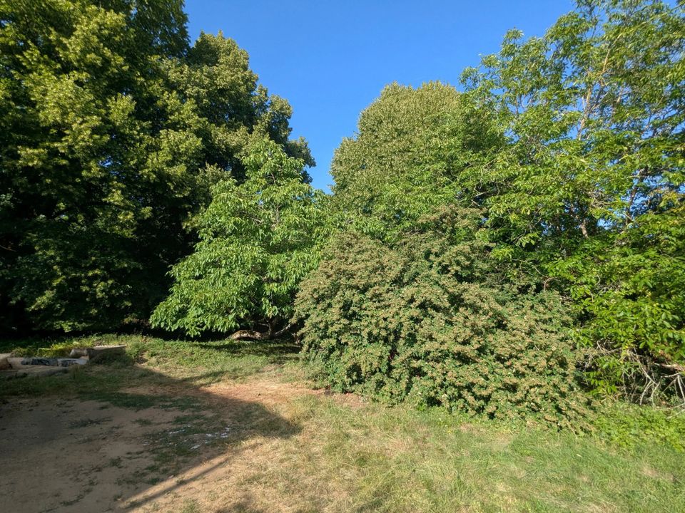 Dorpshuis in Gouex, Vienne - foto 2