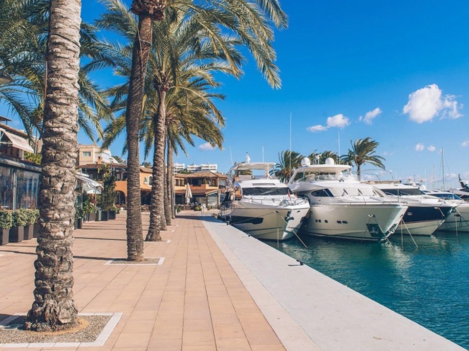 Lejlighed i Calvia, Mallorca - foto 1