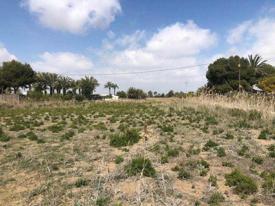 Landejendom i Elche, Alicante - foto 2