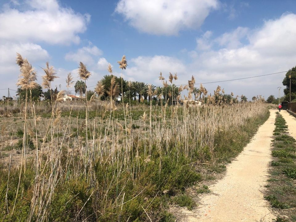 Landejendom i Elche, Alicante - foto 3