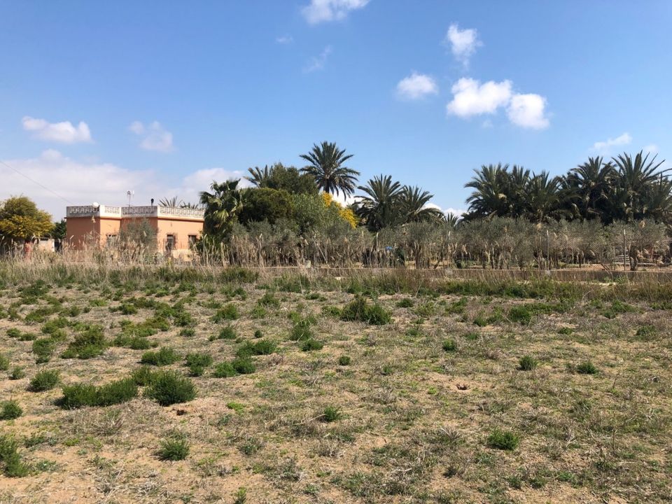 Landejendom i Elche, Alicante - foto 5