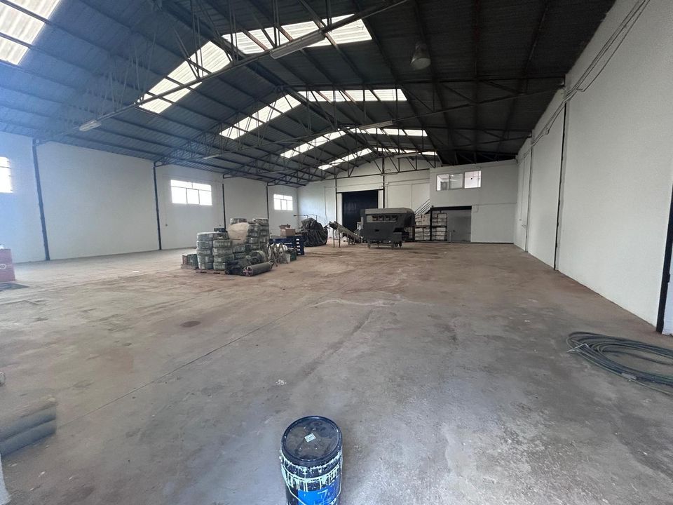 L'establiment comercial a Dolores, Alicante - foto 4