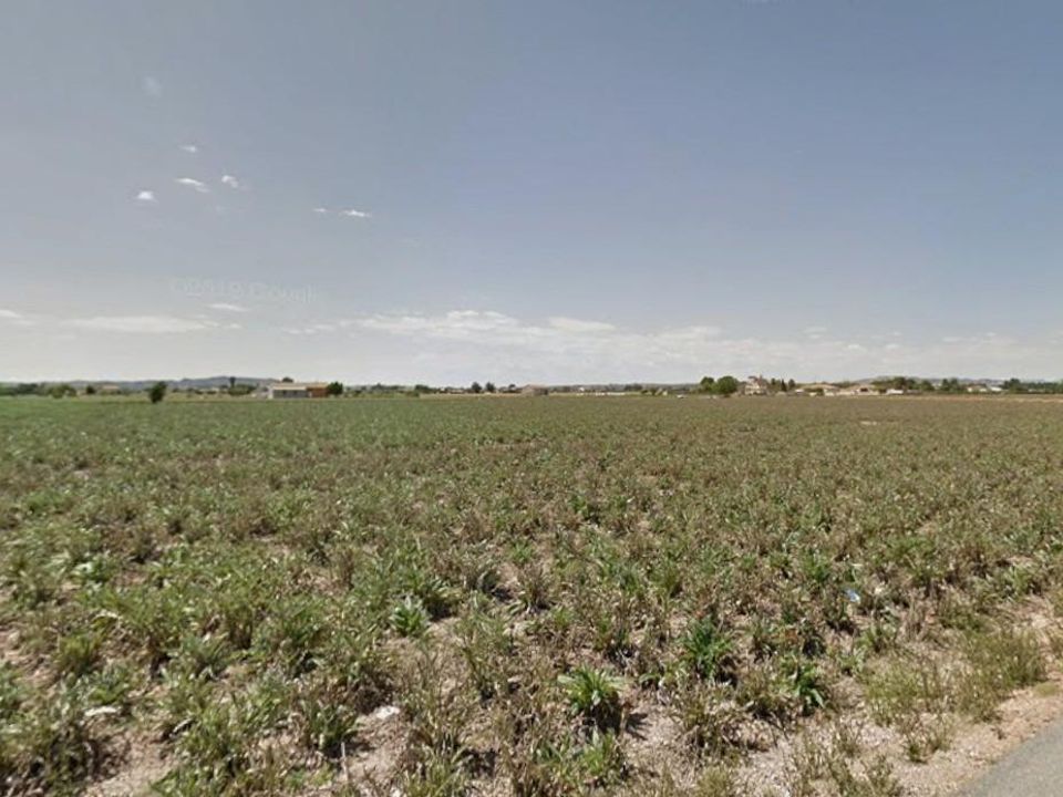 Tomt i Dolores, Alicante - bilde 3