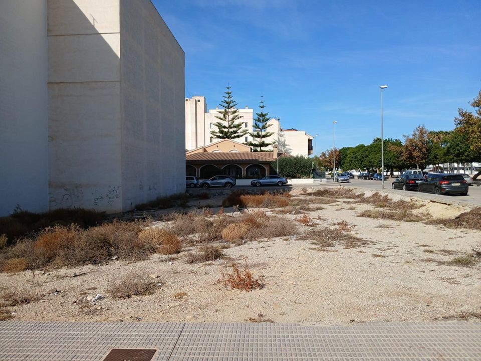 Helårsgrund i Almoradi, Alicante - foto 3