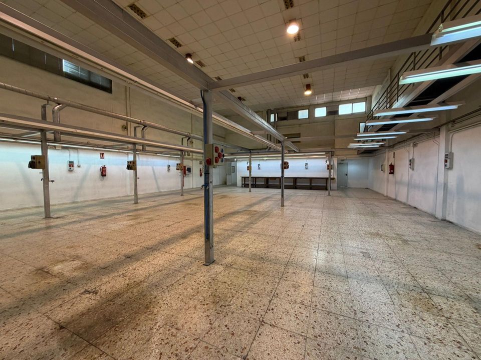 Erhvervsejendom i Elche, Alicante - foto 5