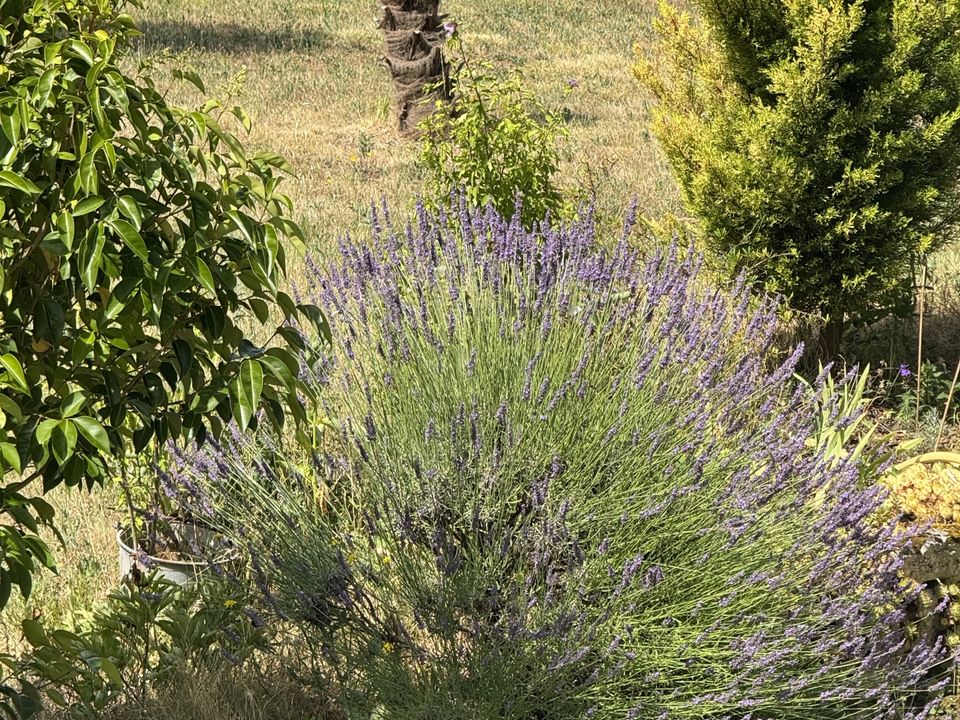 Landhaus in Lacour, Tarn-et-Garonne - Foto 5