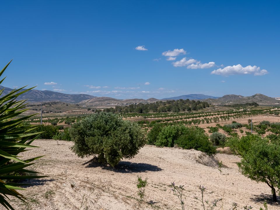 Villa i La Zarza, Murcia - bilde 4