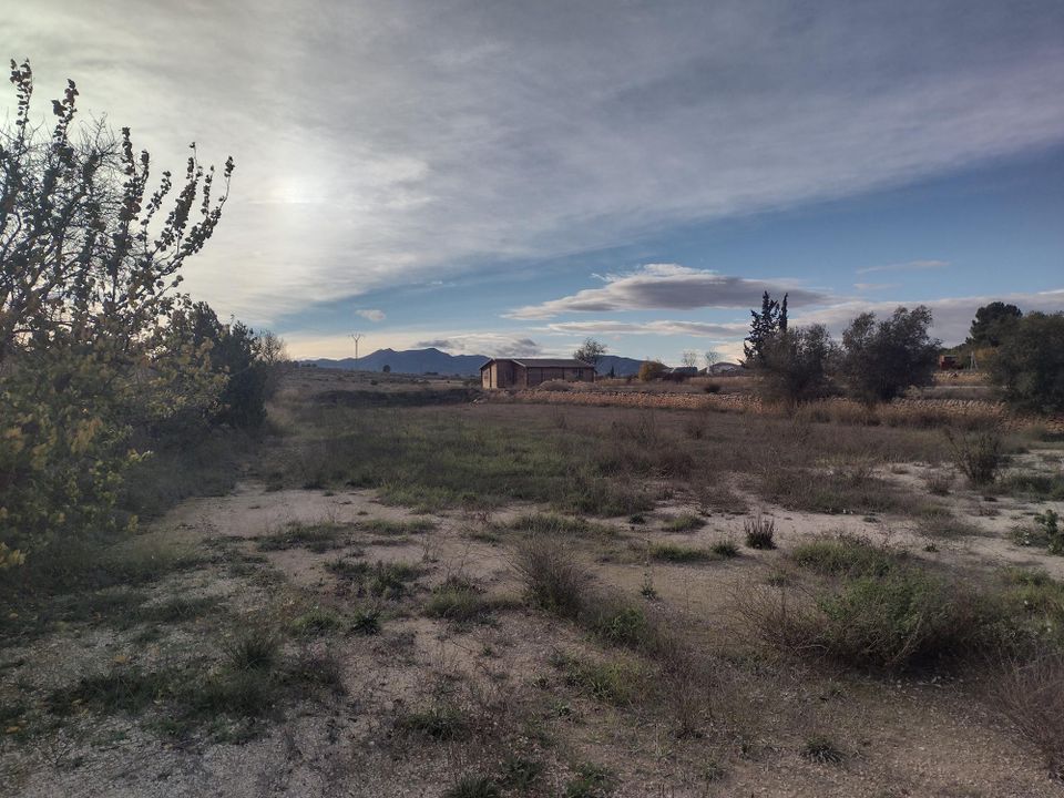 Helårsgrund i Pinoso, Alicante - foto 4
