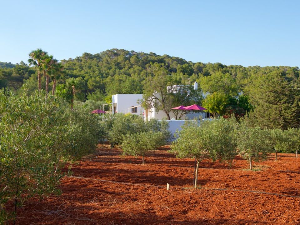 Villa i Santa Eulalia Del Rio, Ibiza - foto 2