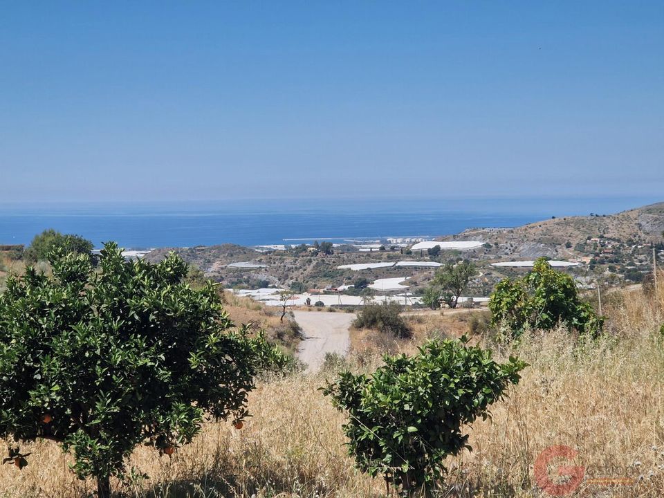 Finca en Motril, Granada - foto 2