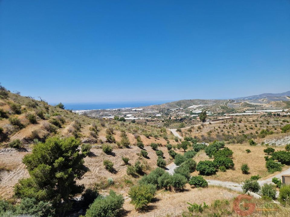 Finca en Motril, Granada - foto 3