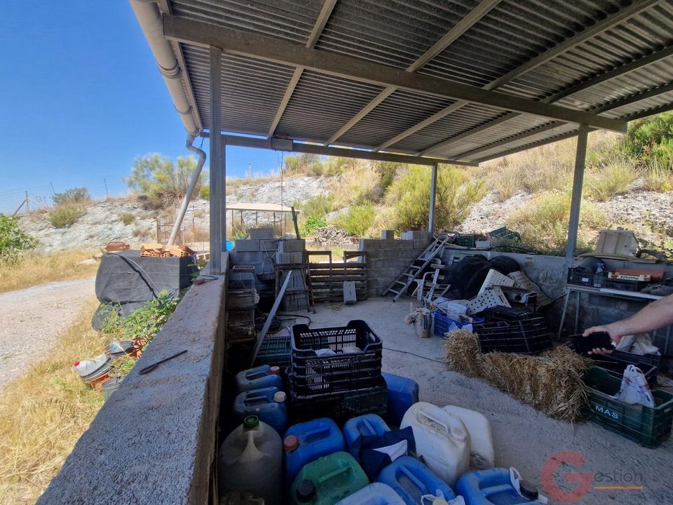 Finca en Motril, Granada - foto 4