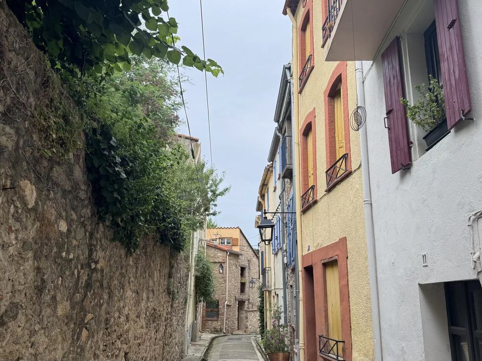 Casa de campo en Ceret, Pyrenees-Orientales - foto 3