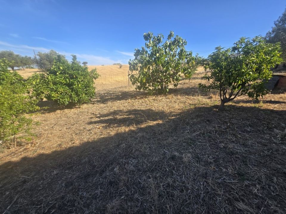 Terra a Alandroal, Evora - foto 4