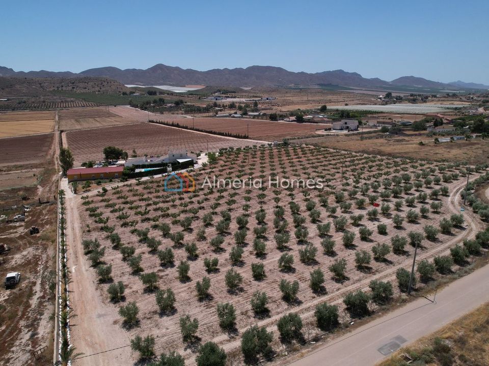 Landejendom i Lorca, Murcia - foto 3