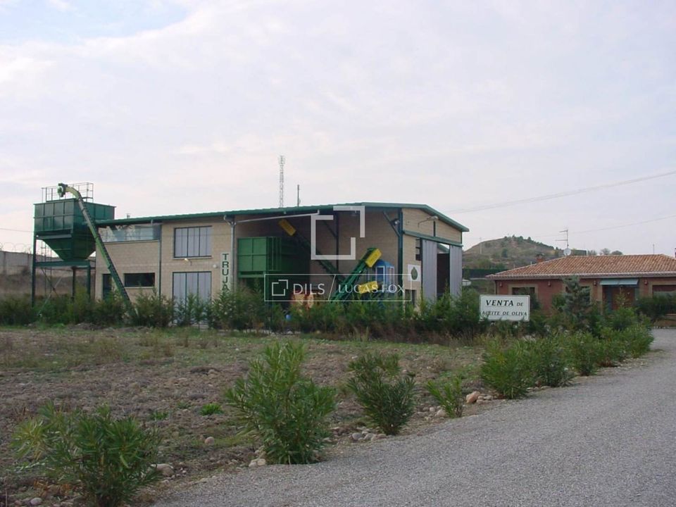 Kommersiell fastighet i Oion, Alava - foto 2