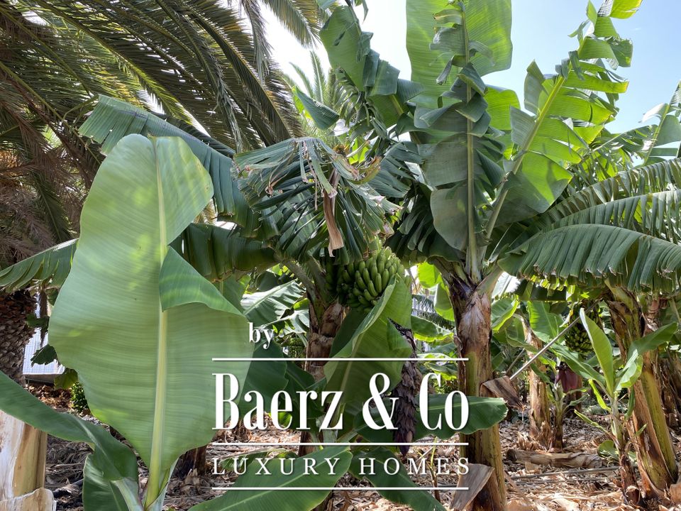 Villa i Arona, Tenerife - bilde 5