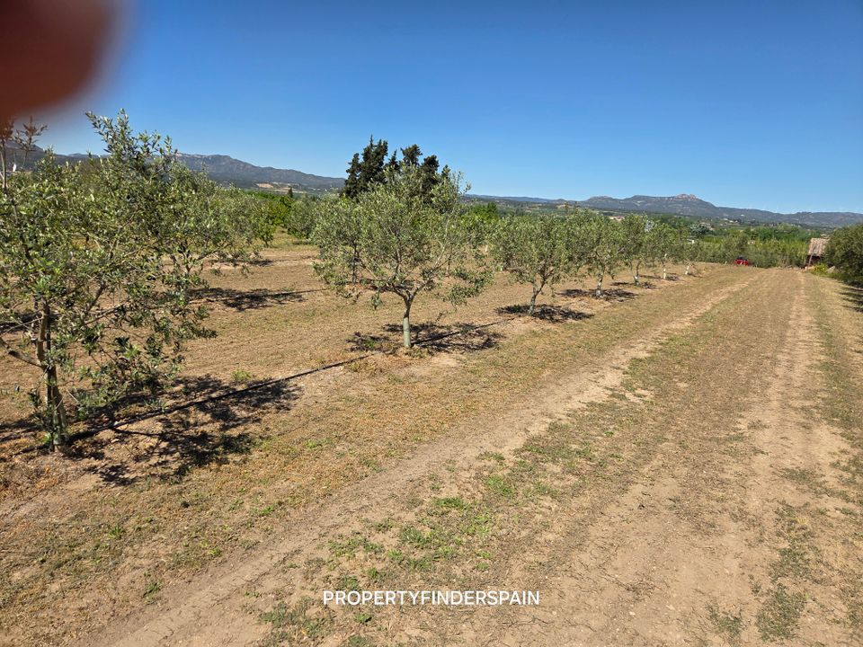 Finca i Ginestar, Tarragona - foto 2