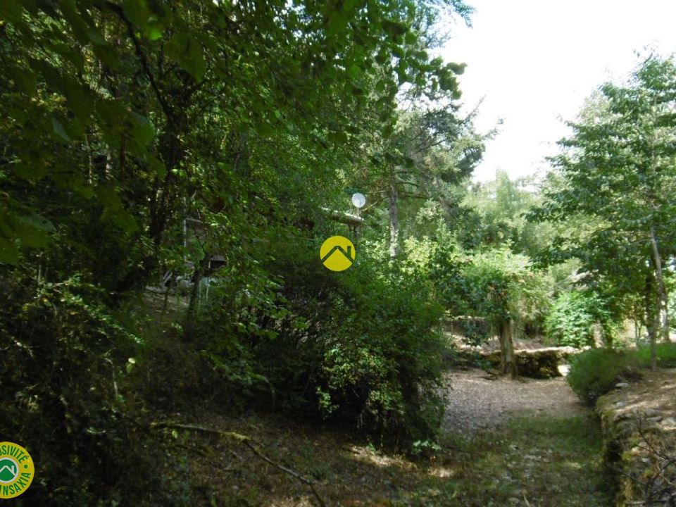 Terra a Fontgombault, Indre - foto 4